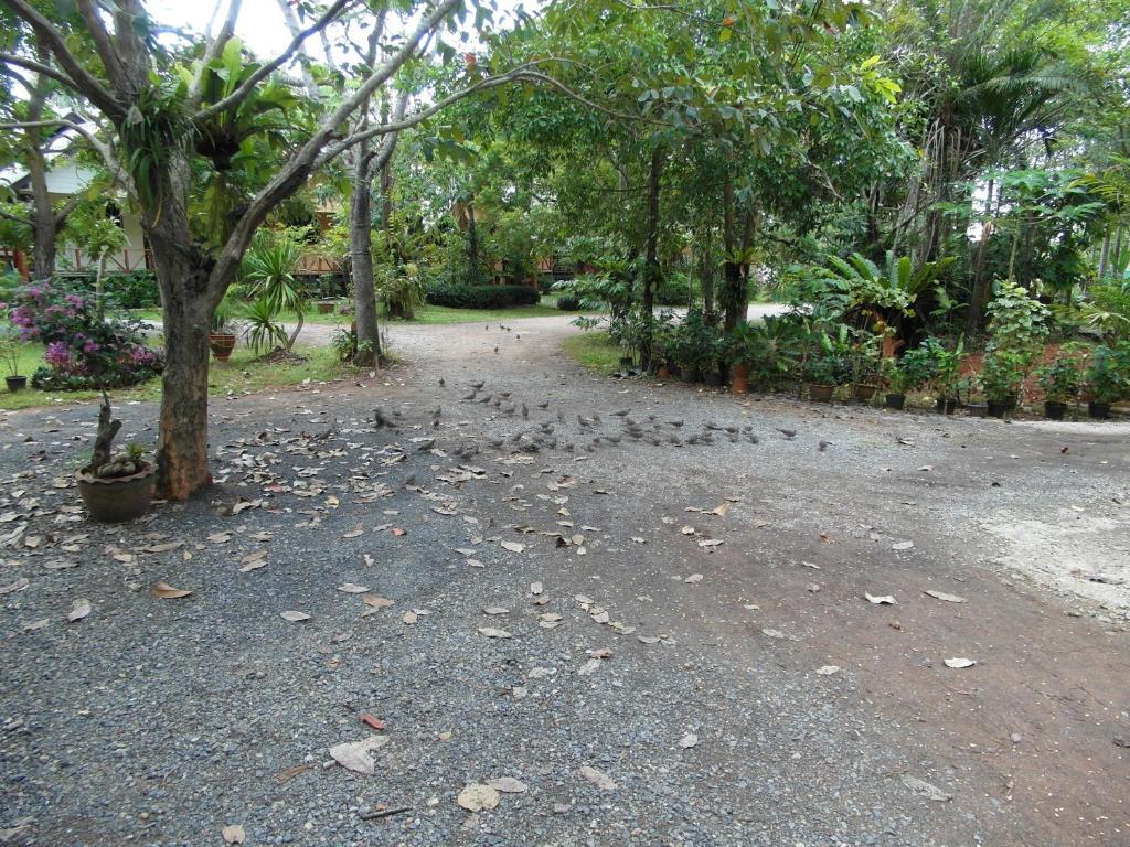 Baan Tai Rom Yen Resort Szuratthani Kültér fotó